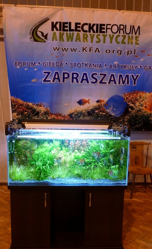 P1040692.JPG