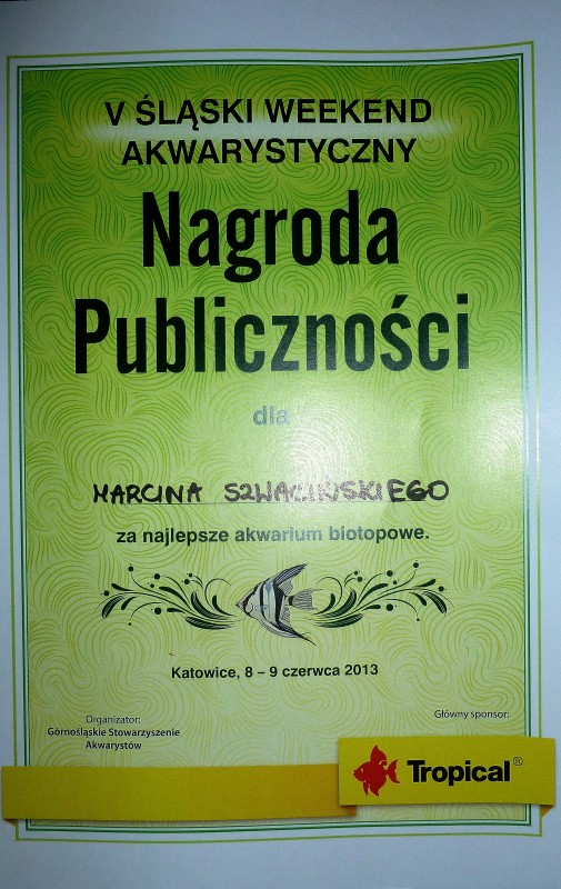 P1040764.JPG
