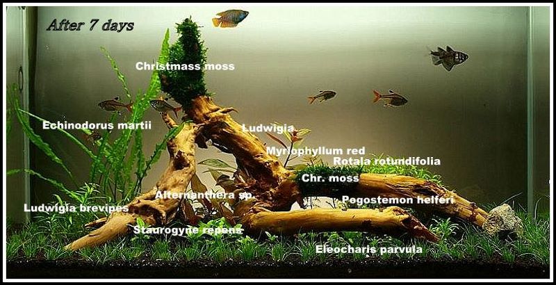 P1 (1024x513) (800x401) (800x410).jpg
