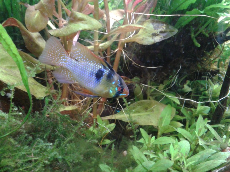 2013-08-19 09.17.09.jpg