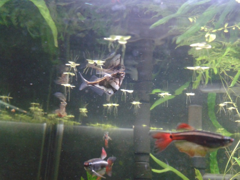2013-08-19 09.17.52.jpg