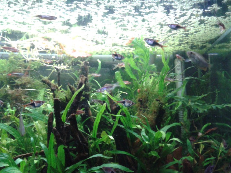 2013-08-19 09.19.13.jpg