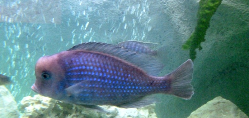 P1050230.JPG