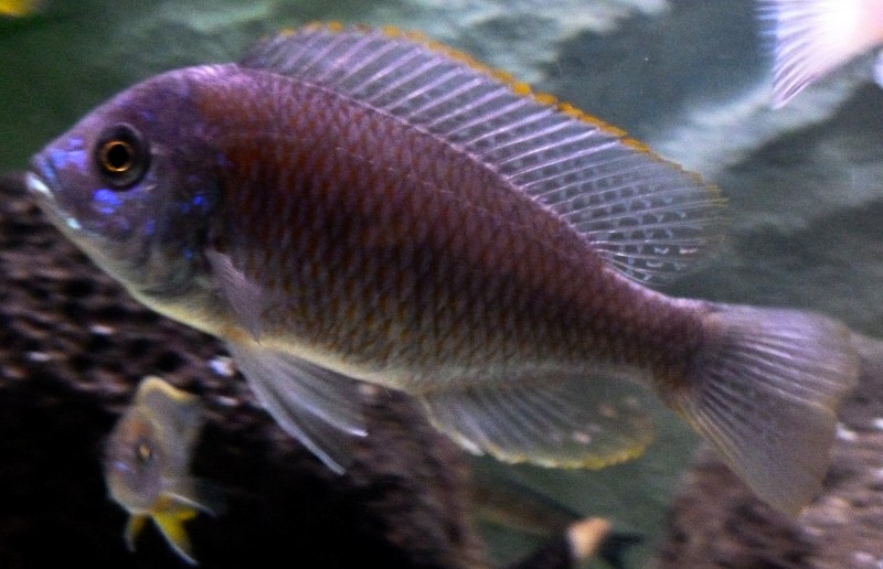 P1050565.JPG