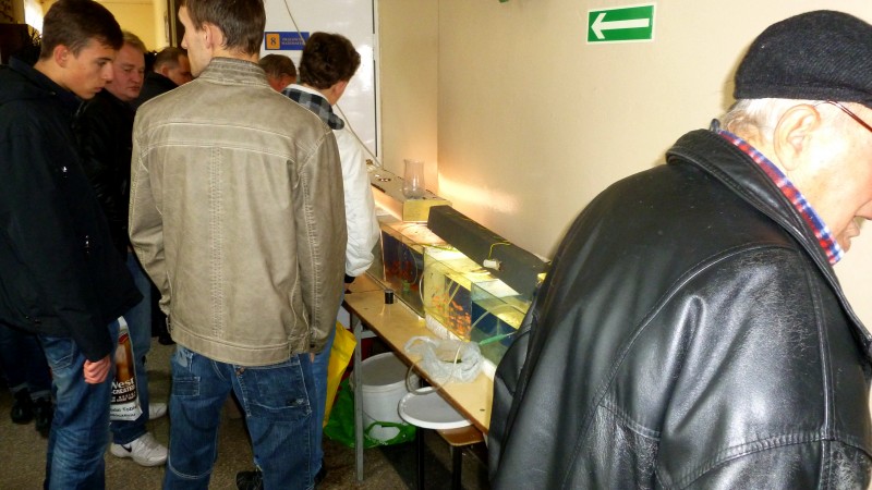 P1050586.JPG