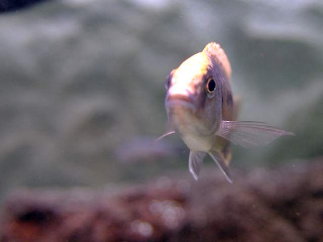 IMGP3450.jpg