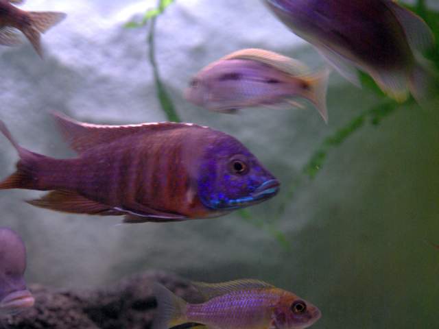IMGP3460.jpg