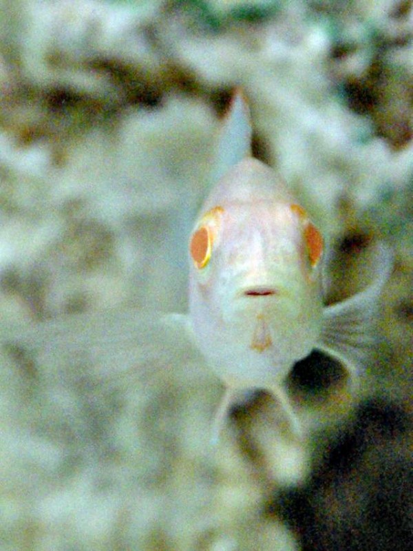 IMGP3462.jpg
