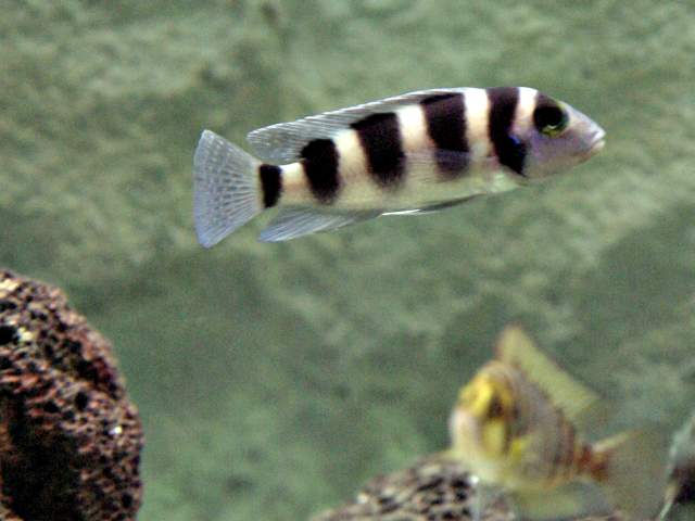 IMGP3466.jpg