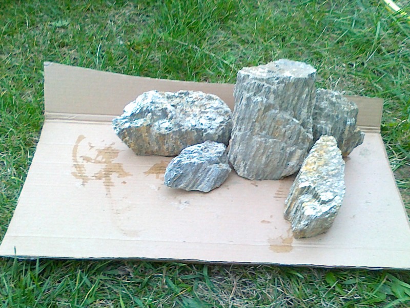 20130928264.jpg