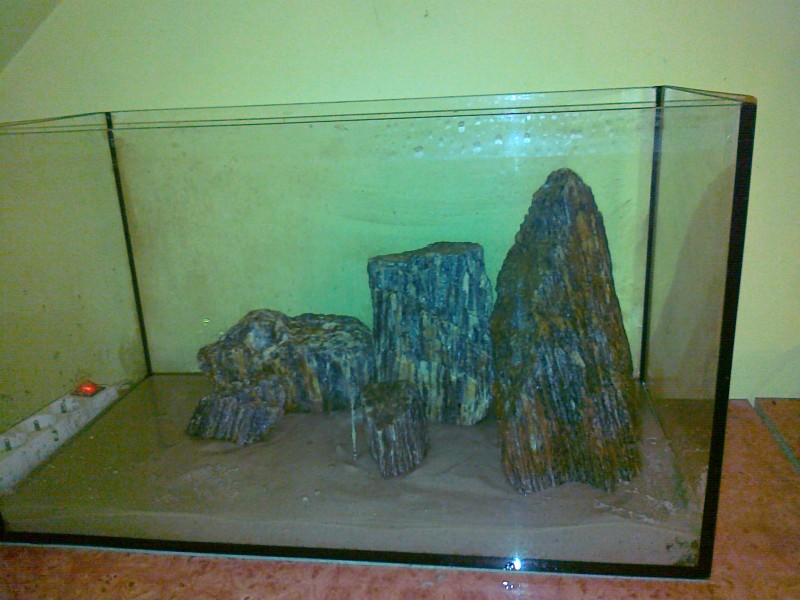 20130928265.jpg
