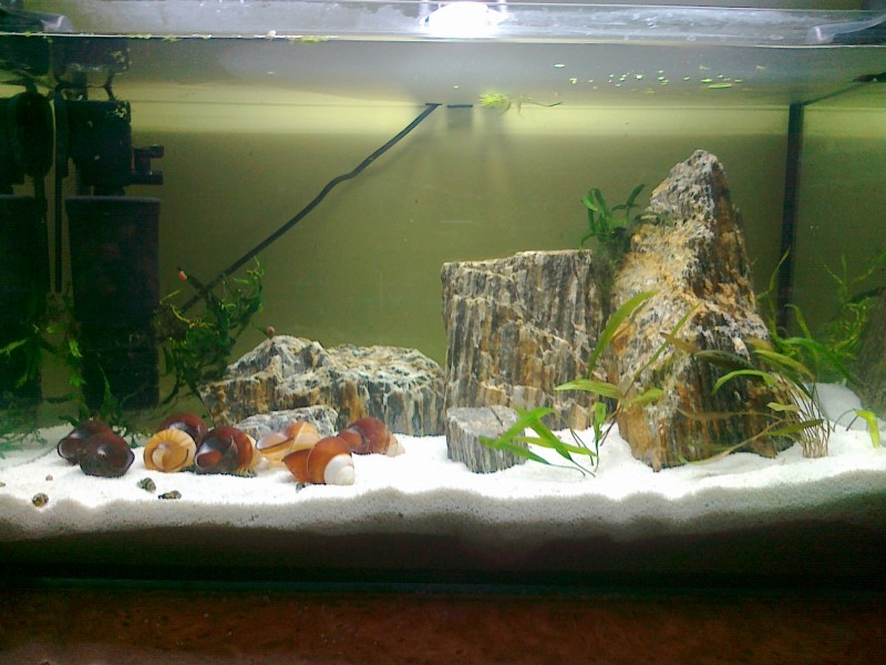 20131002266.jpg