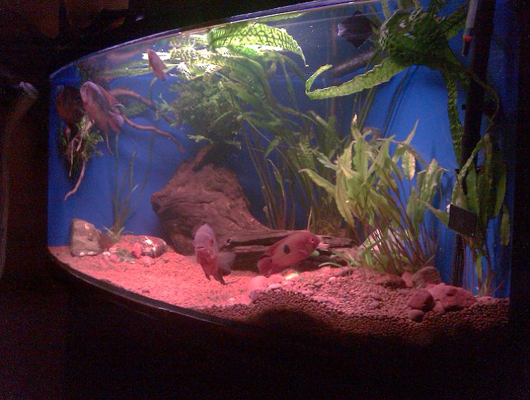 IMAG0673.jpg