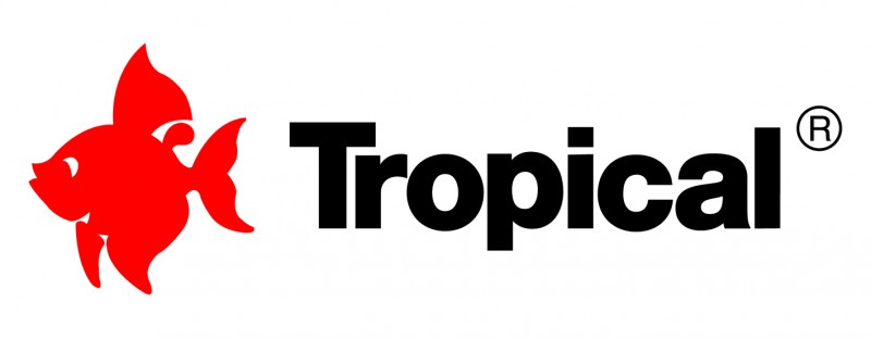 logo tropical kolor kopia.jpg