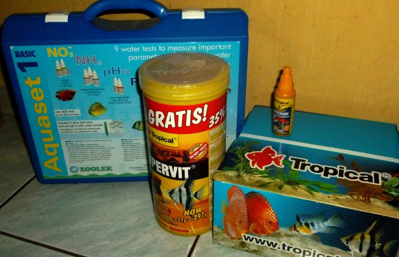 P1050825.JPG