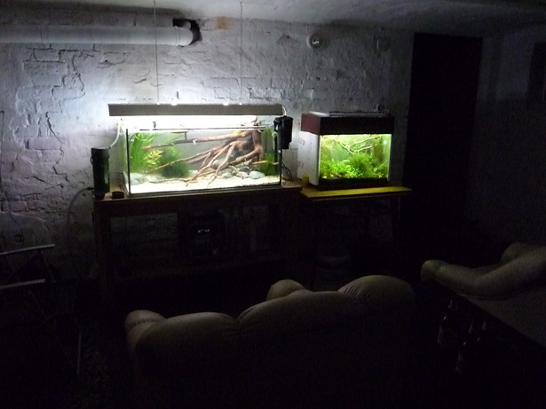 P1040466.JPG