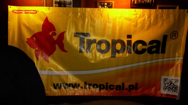 P1050881.JPG