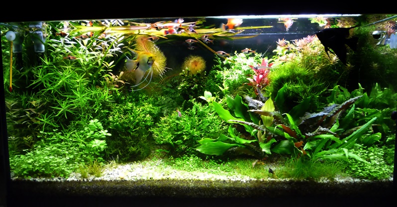 P1040513wwwww-crop.JPG