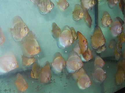 DSCN5296.JPG
