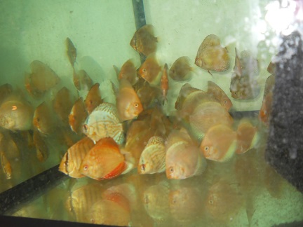 DSCN5301.JPG