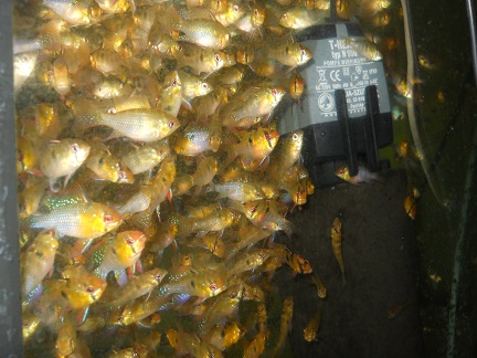 DSCN5306.JPG