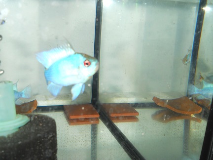 DSCN5317.JPG