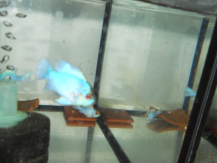 DSCN5318.JPG