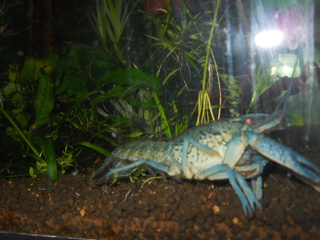 DSCN5447.JPG