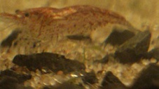 DSC_1418.jpg