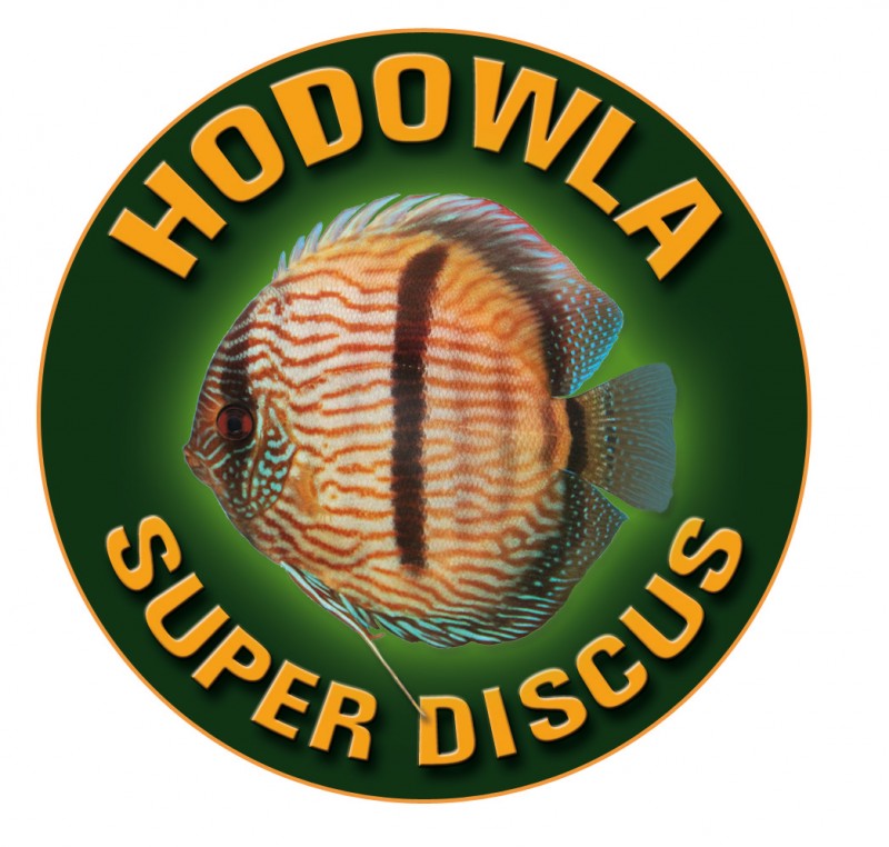 logo2 bez tła.jpg