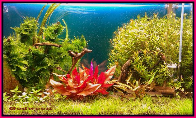 IMAG0808 (630x381).jpg