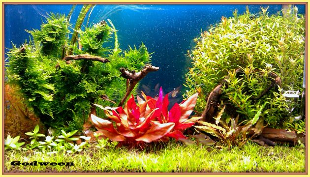 IMAG0805 (630x360).jpg