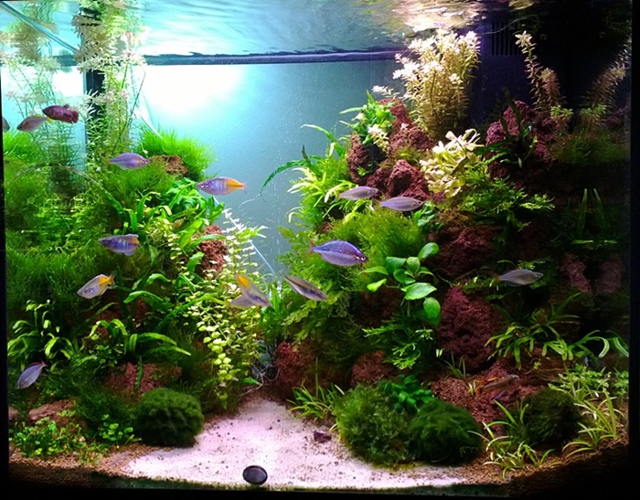 WP_20140316_113-crop.jpg