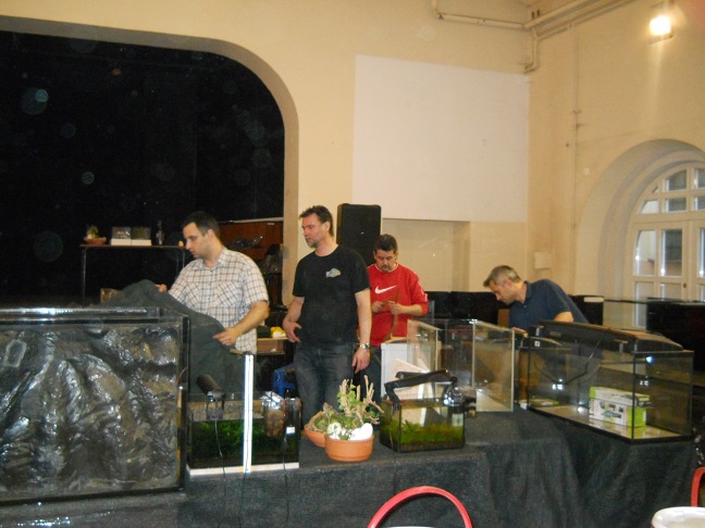 DSCN6409.JPG