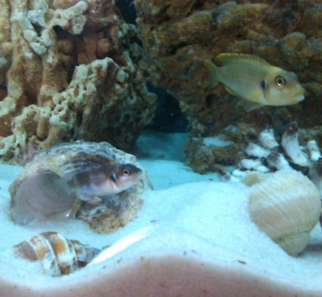 20140407a.jpg