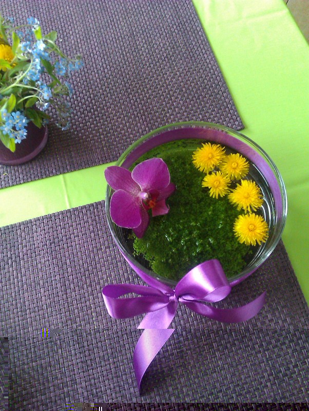 IMAG0534.jpg