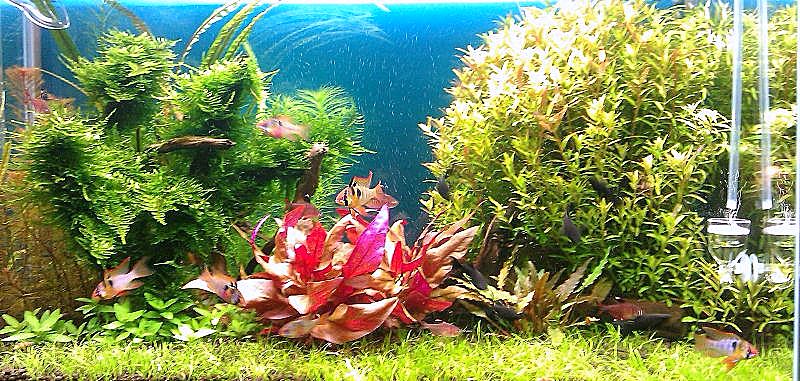 IMAG0812 (800x381).jpg