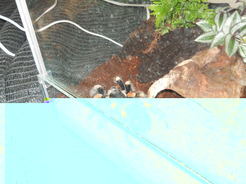 DSCN6535.JPG