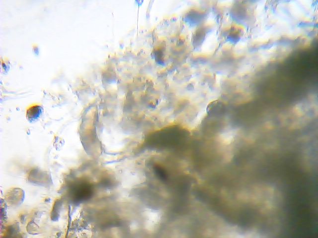 2012_12_20_17_25_38_921.jpg
