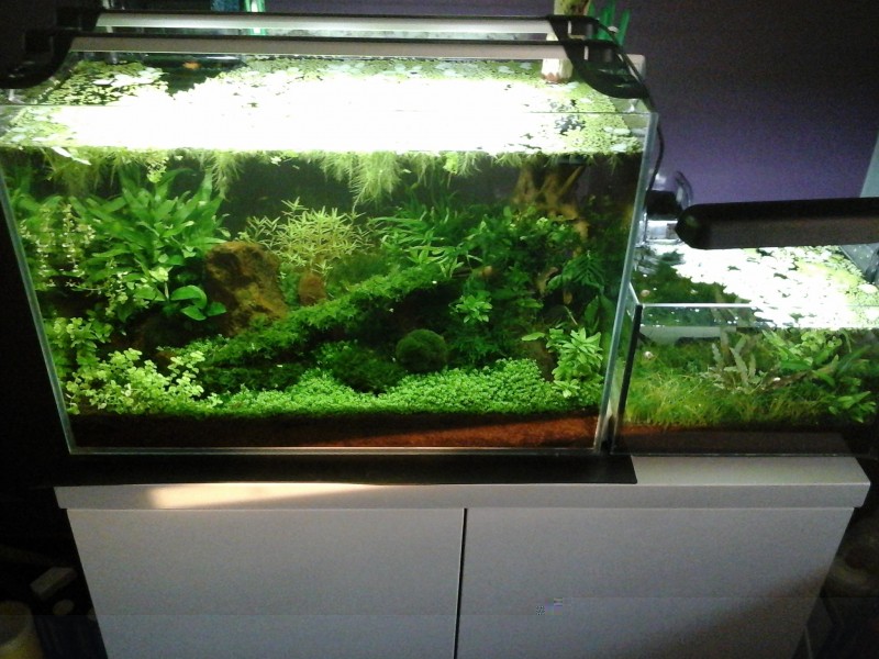 20140526_195452.jpg