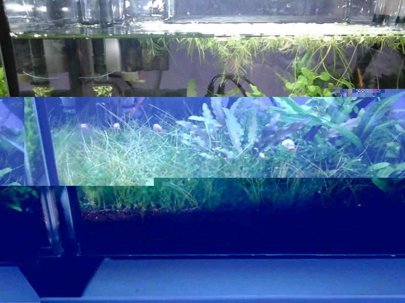 20140526_195526.jpg
