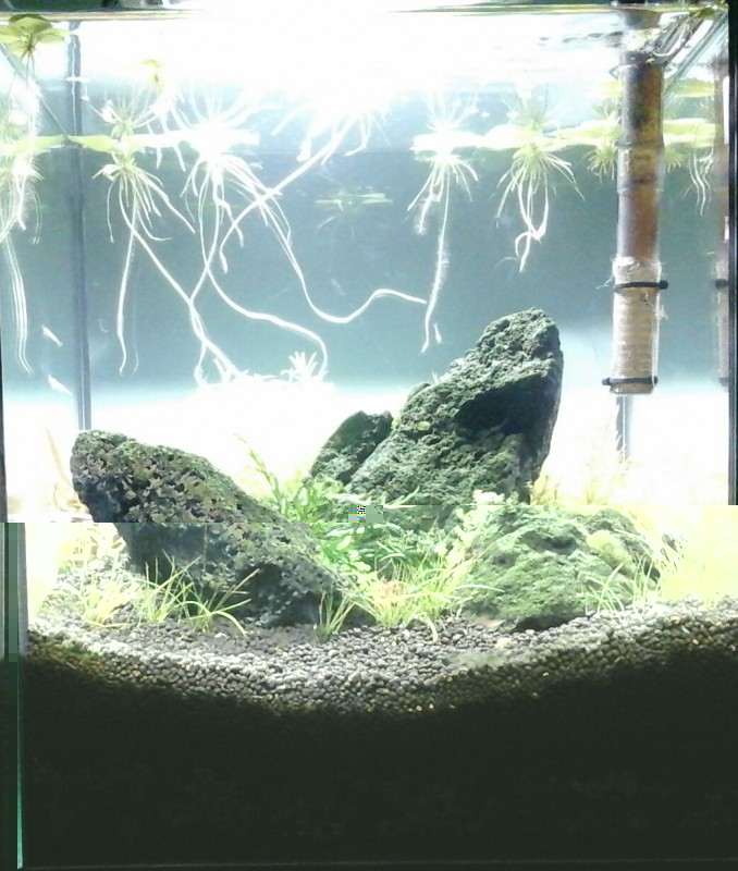 20140530_204926-1.jpg