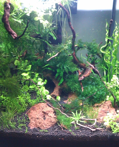IMAG0638.jpg