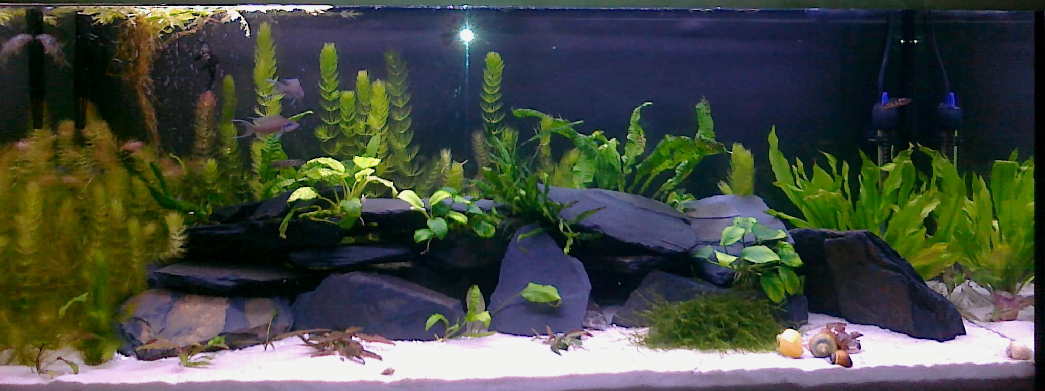 20121222250-001.jpg