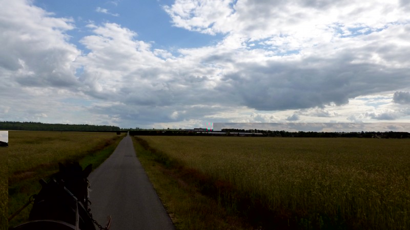 P1060934.JPG