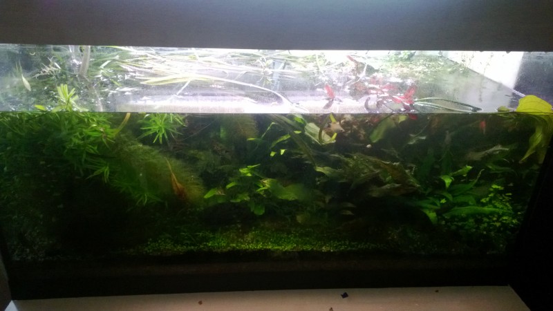 WP_20140502_005.jpg