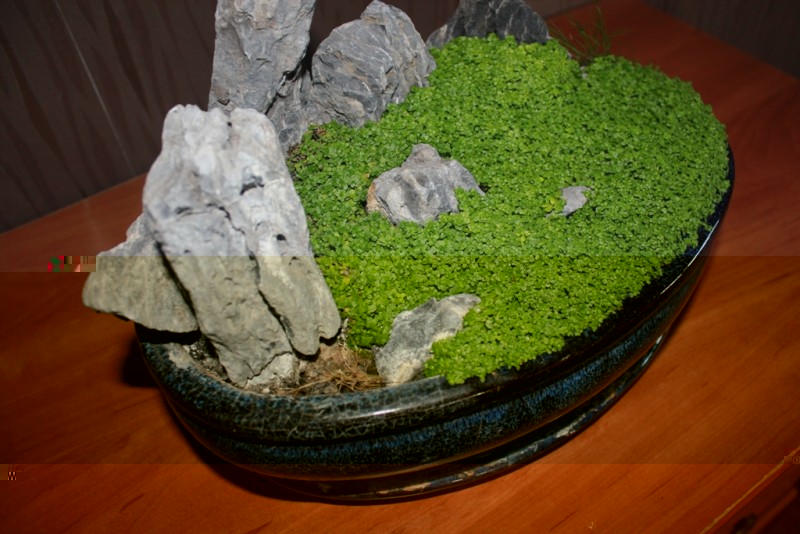 06.JPG