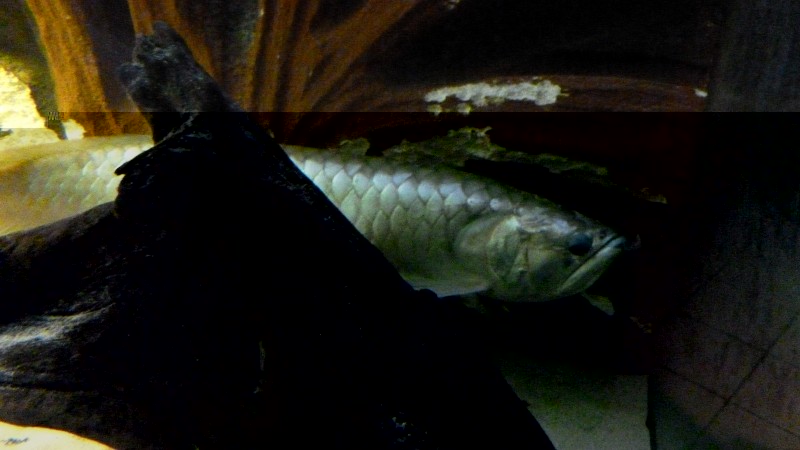 P1070237.JPG