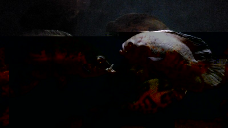 P1070287.JPG