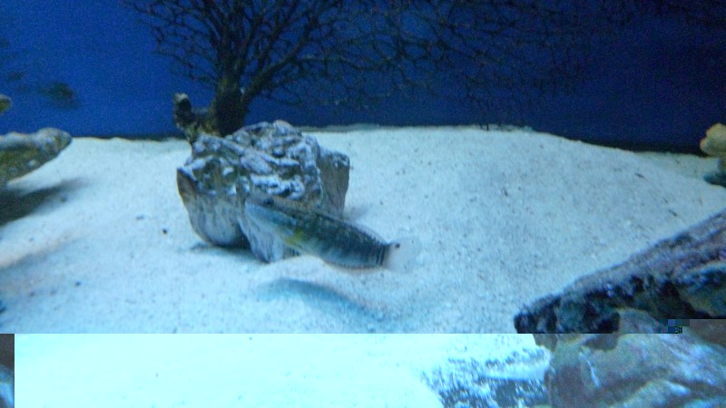 P1070254.JPG